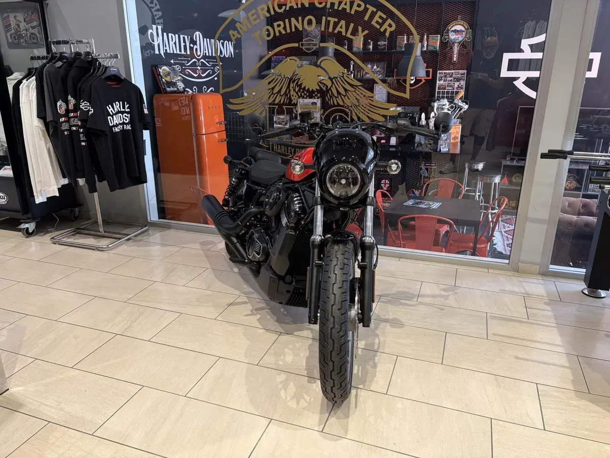 Harley-Davidson Nightster Special (2023 - 26) (3)