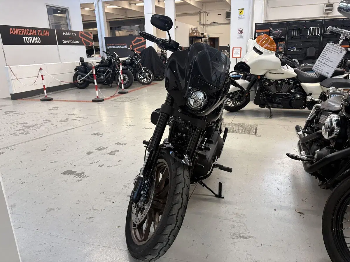 Harley-Davidson Low Rider S (2022 - 24) (4)