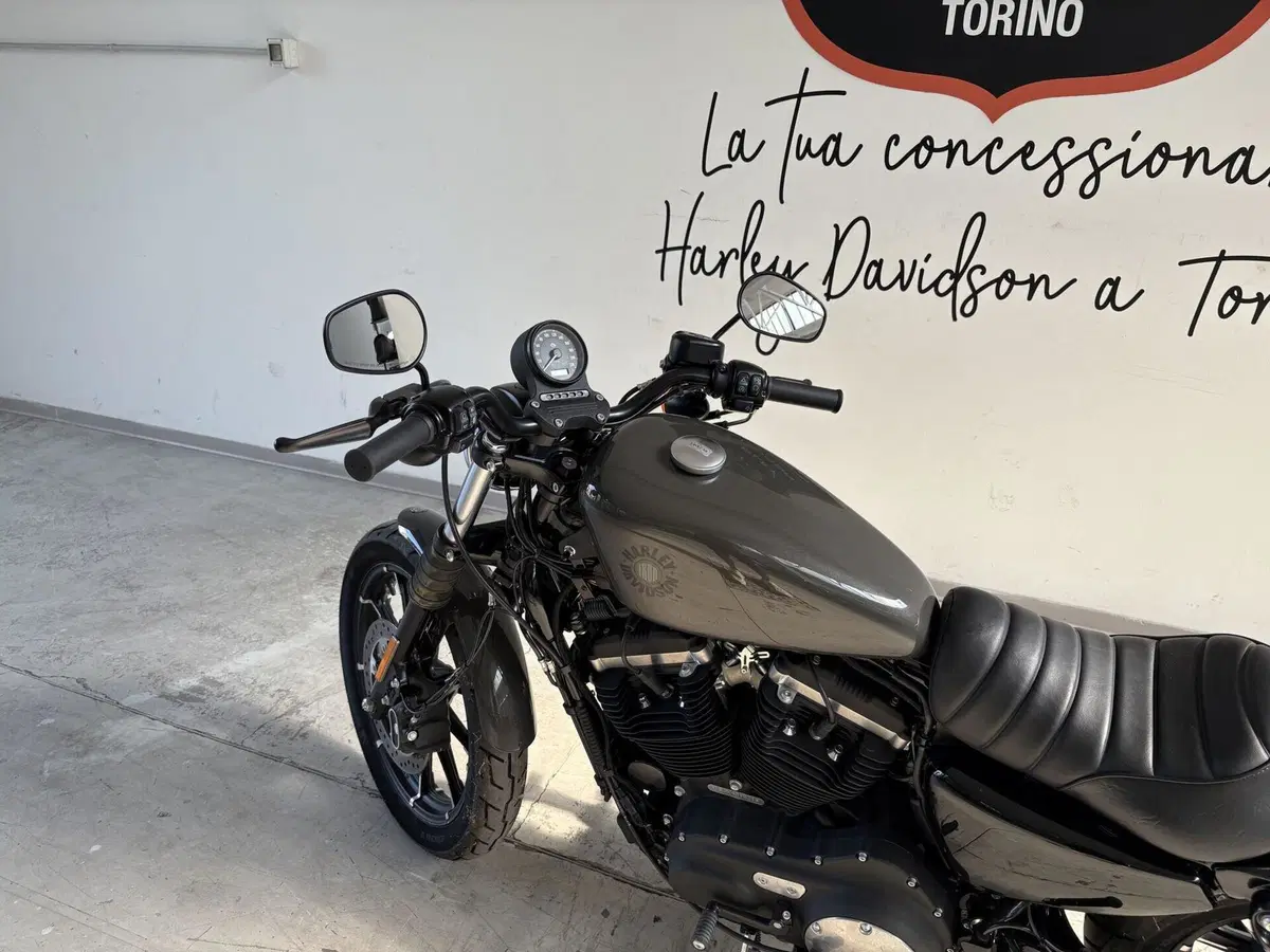 Harley-Davidson 883 Iron (2017 - 20) - XL 883N (4)