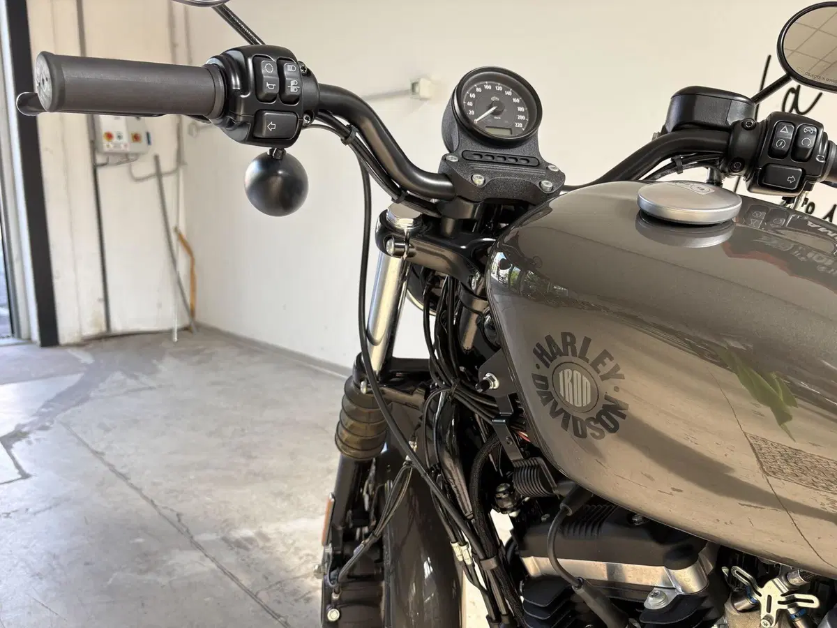 Harley-Davidson 883 Iron (2017 - 20) - XL 883N (5)