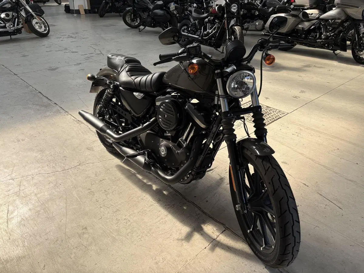 Harley-Davidson 883 Iron (2017 - 20) - XL 883N (6)