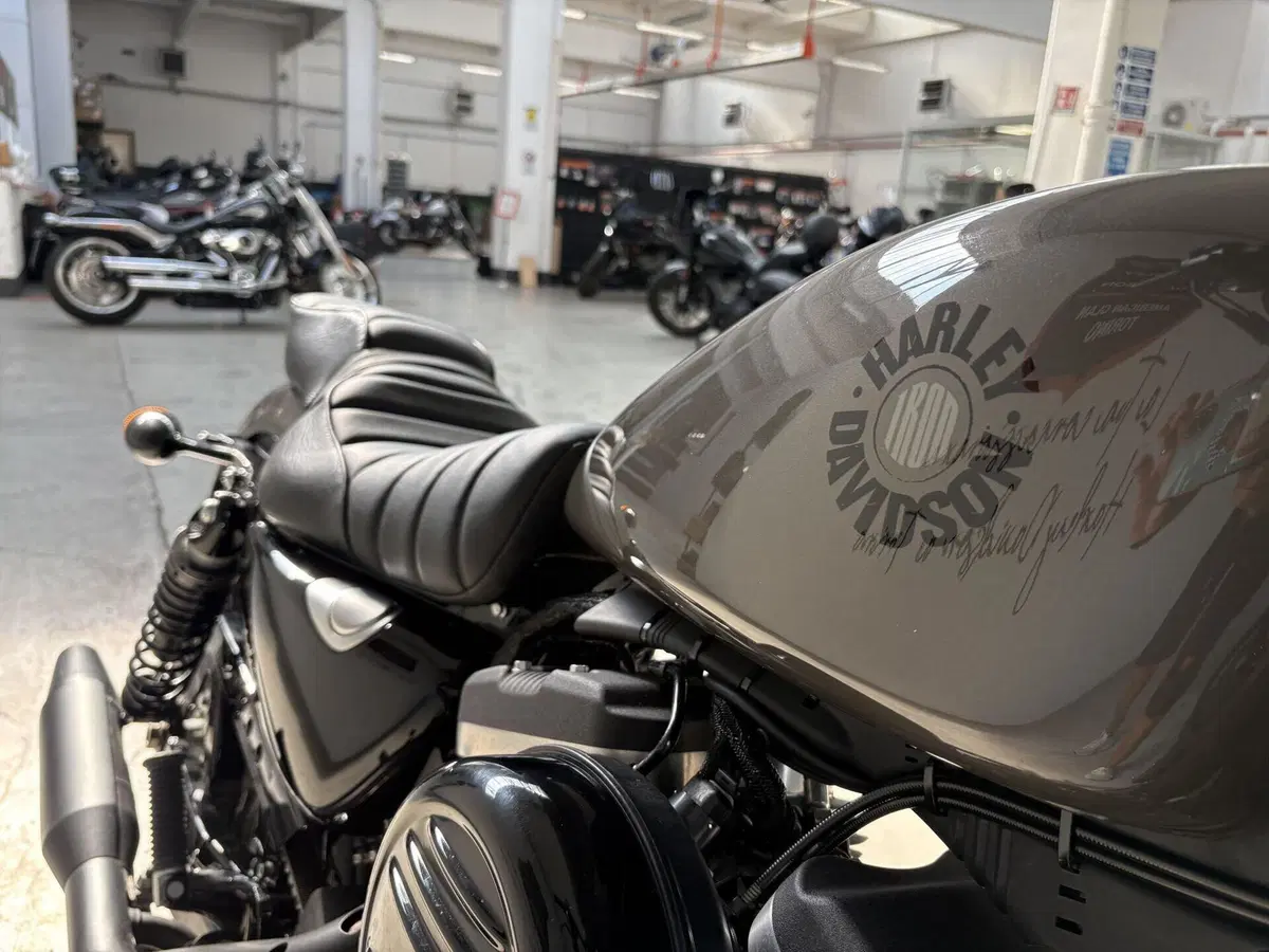 Harley-Davidson 883 Iron (2017 - 20) - XL 883N (7)