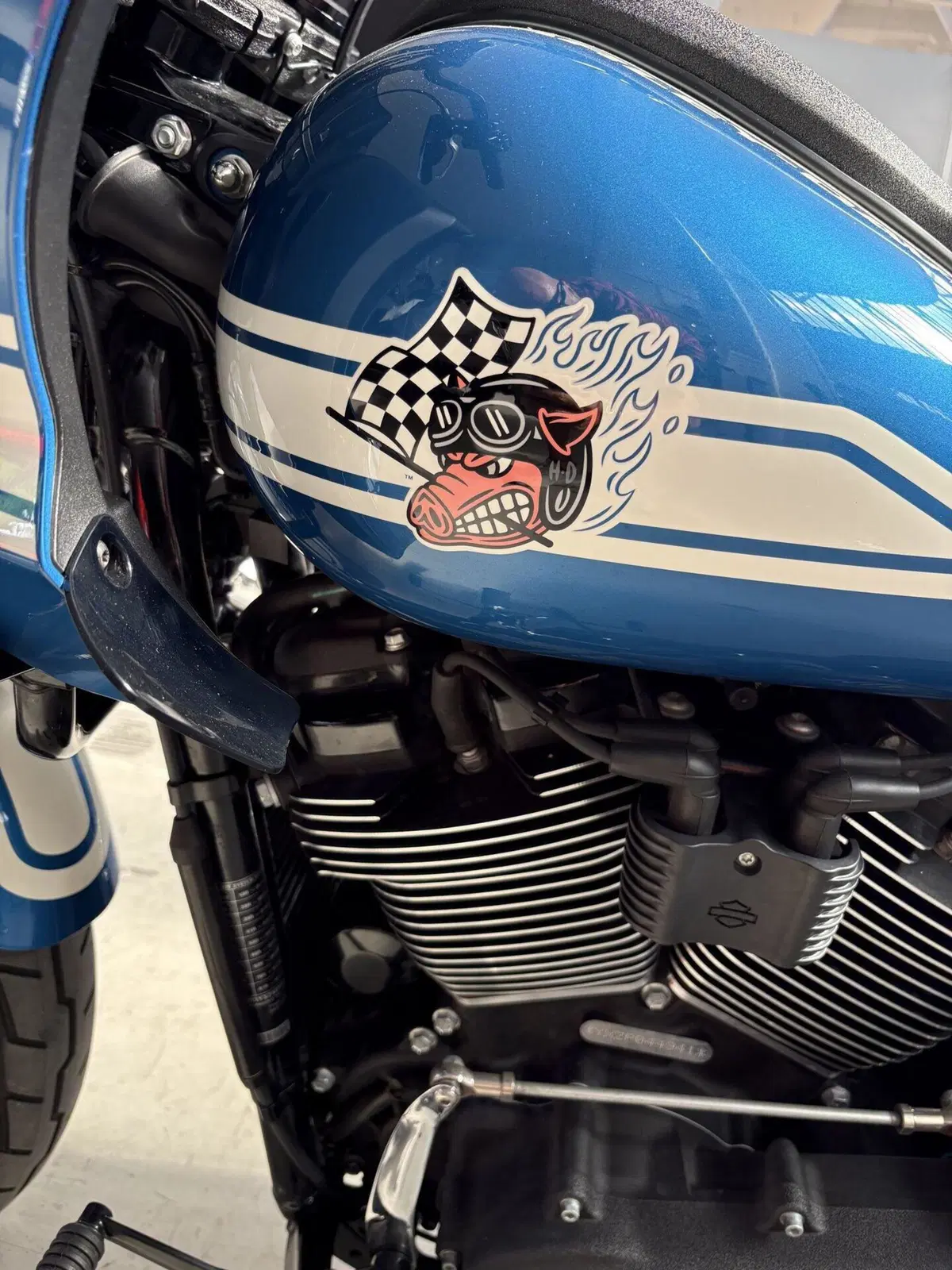 Harley-Davidson Low Rider ST Fast Johnnie Enthusiast (2023) (4)