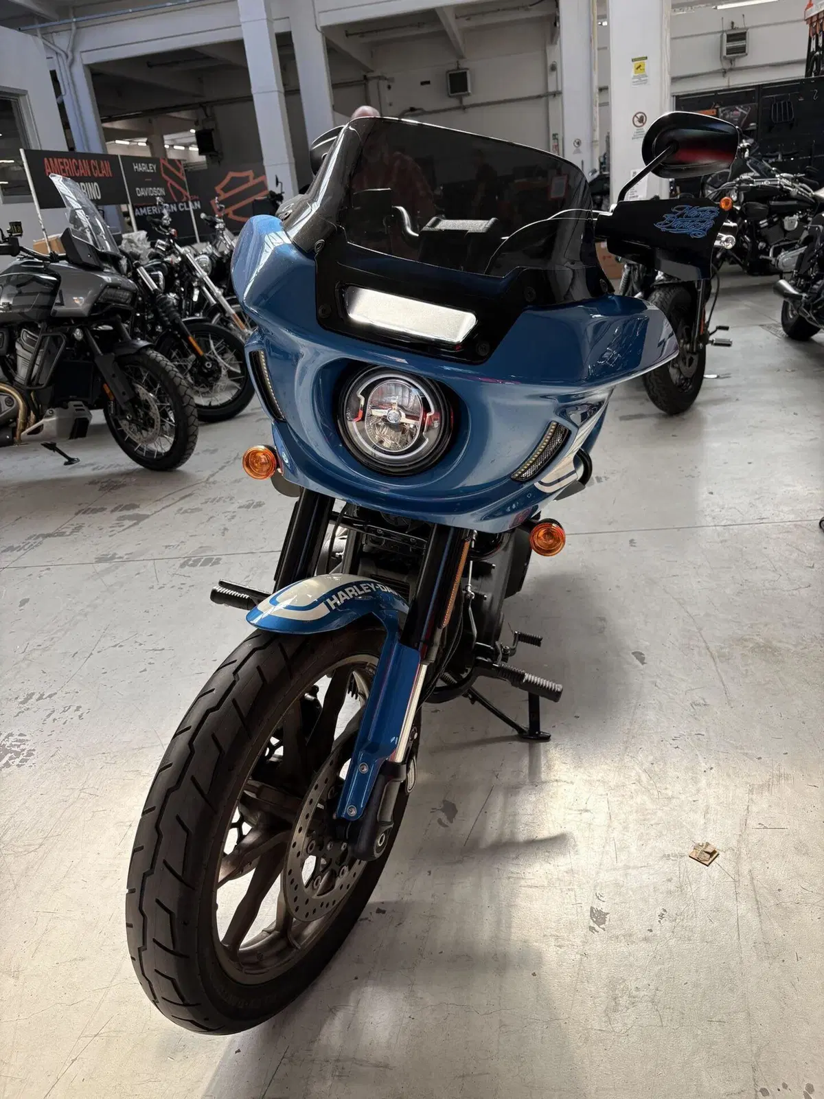 Harley-Davidson Low Rider ST Fast Johnnie Enthusiast (2023) (5)
