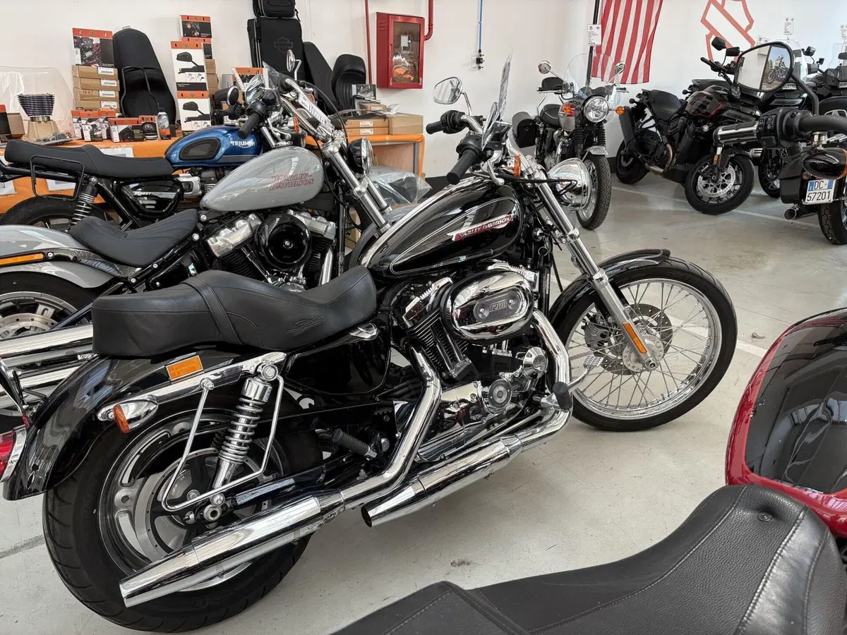Harley-Davidson 1200 Custom (2007 - 13) - XL 1200C