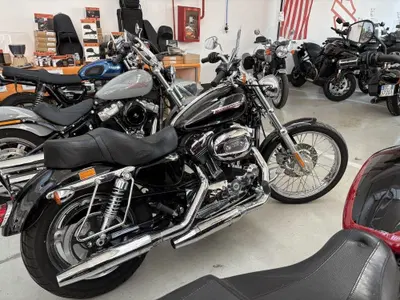Harley-Davidson 1200 Custom (2007 - 13) - XL 1200C usata