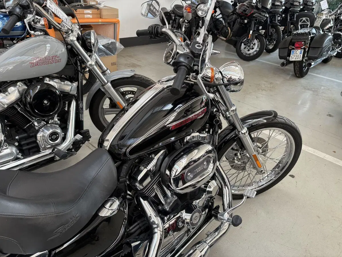 Harley-Davidson 1200 Custom (2007 - 13) - XL 1200C (2)