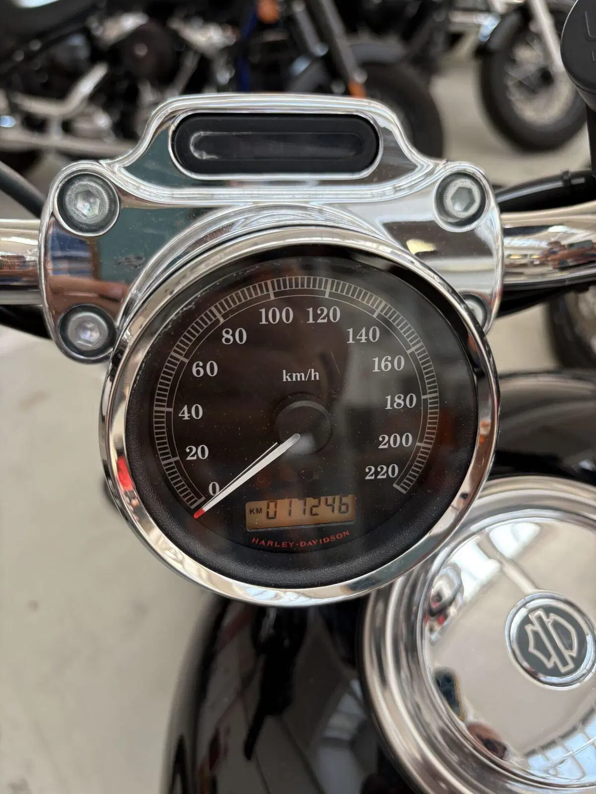 Harley-Davidson 1200 Custom (2007 - 13) - XL 1200C (3)