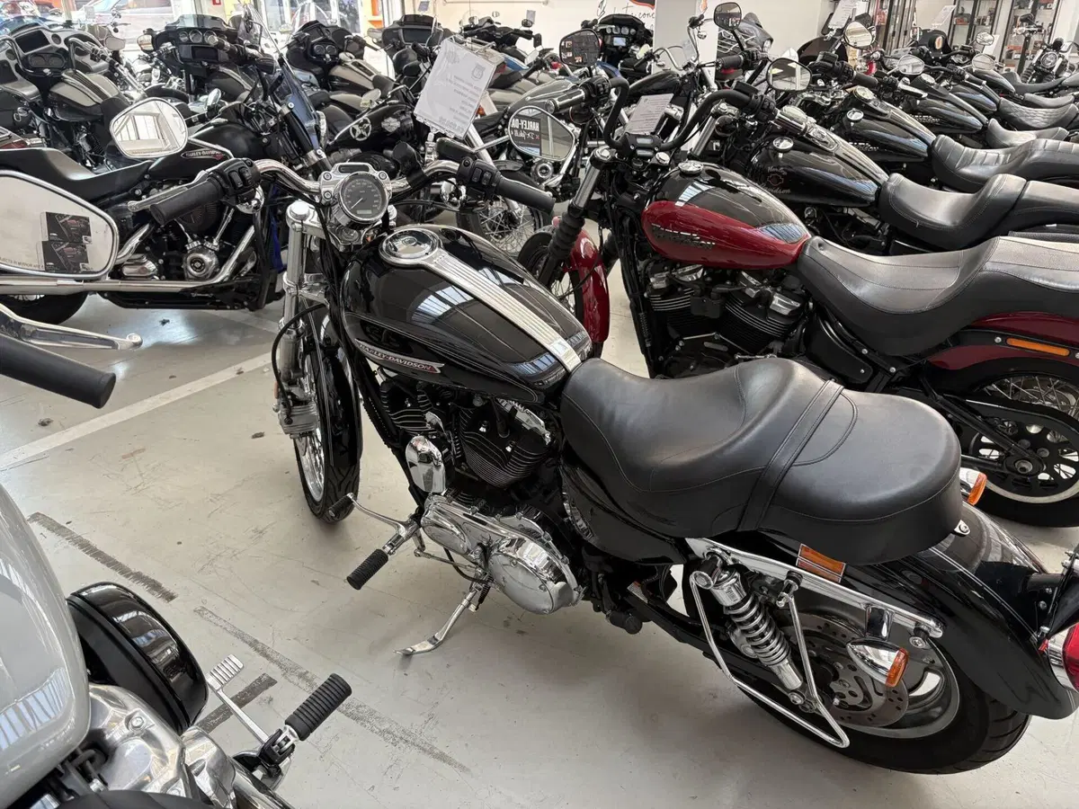 Harley-Davidson 1200 Custom (2007 - 13) - XL 1200C (5)