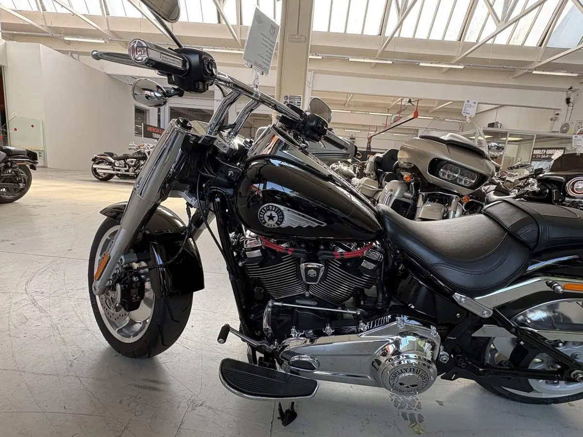 Harley-Davidson Fat Boy 117 (2025 - 26) (5)