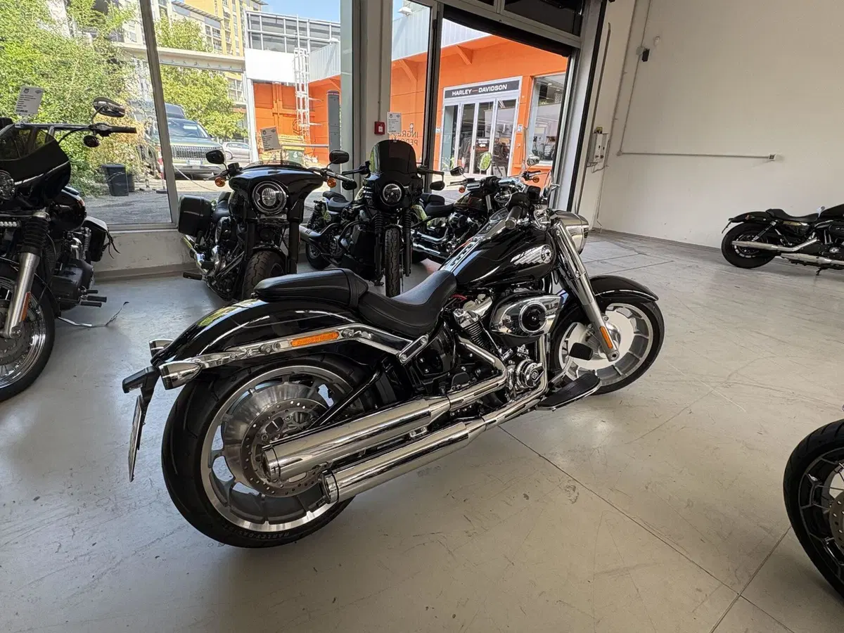 Harley-Davidson Fat Boy 117 (2025 - 26) (6)