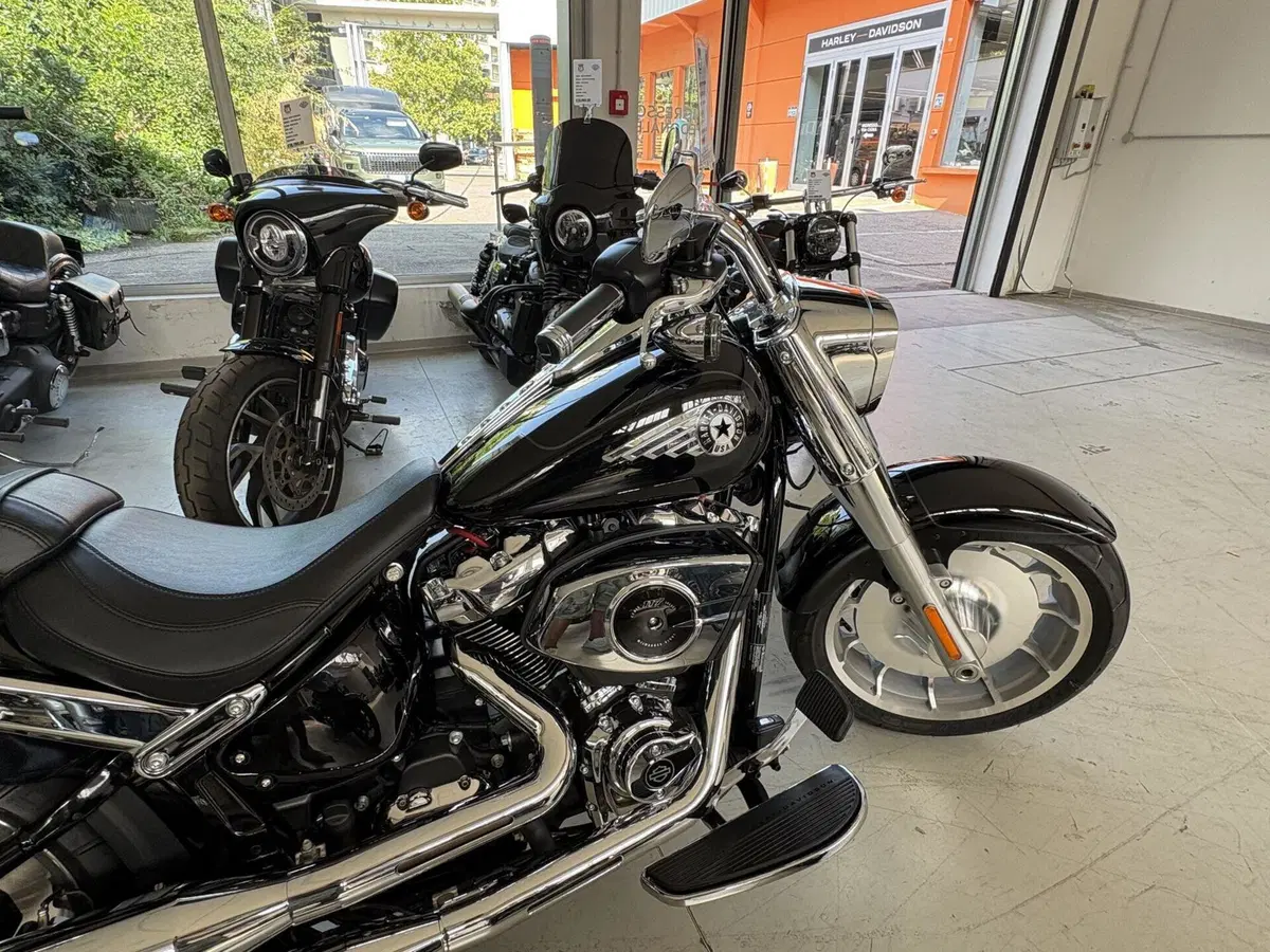 Harley-Davidson Fat Boy 117 (2025 - 26) (7)