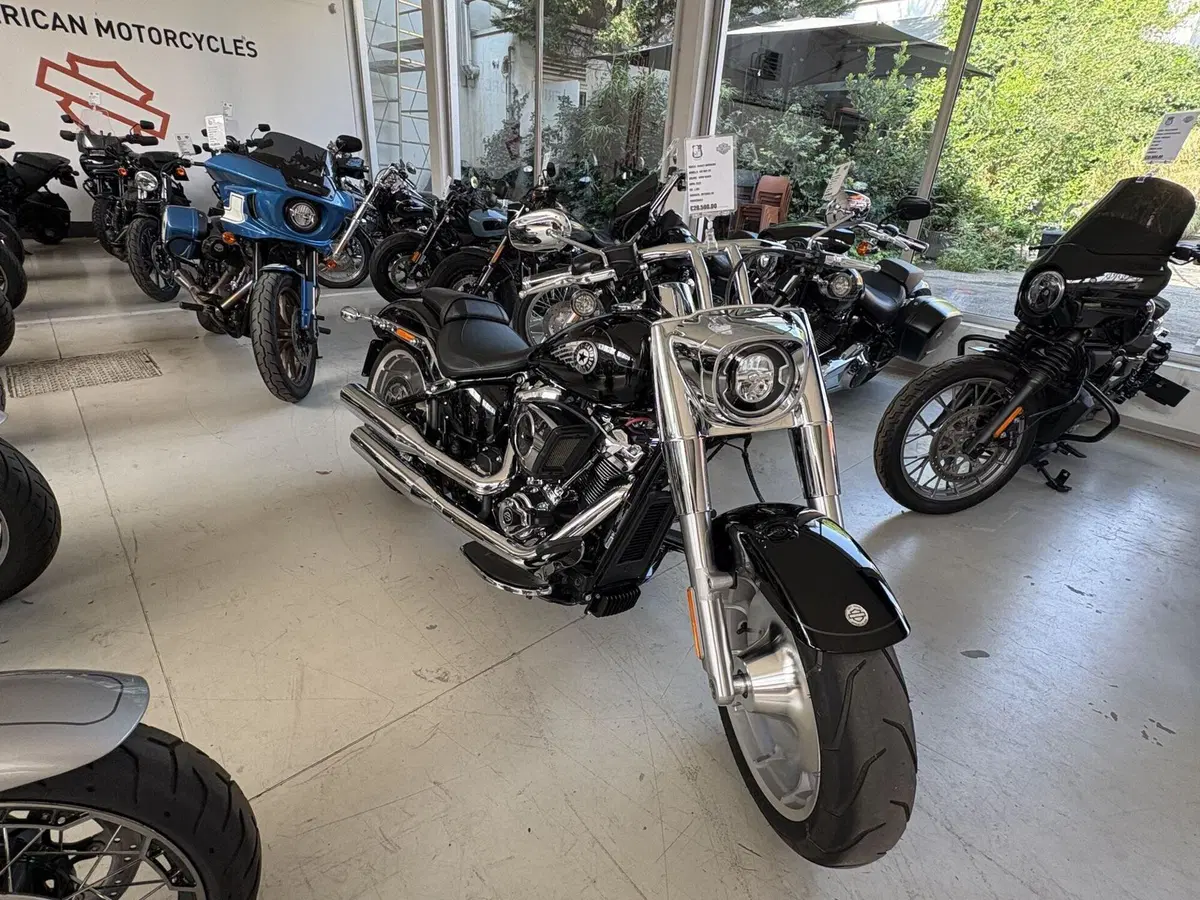 Harley-Davidson Fat Boy 117 (2025 - 26) (8)
