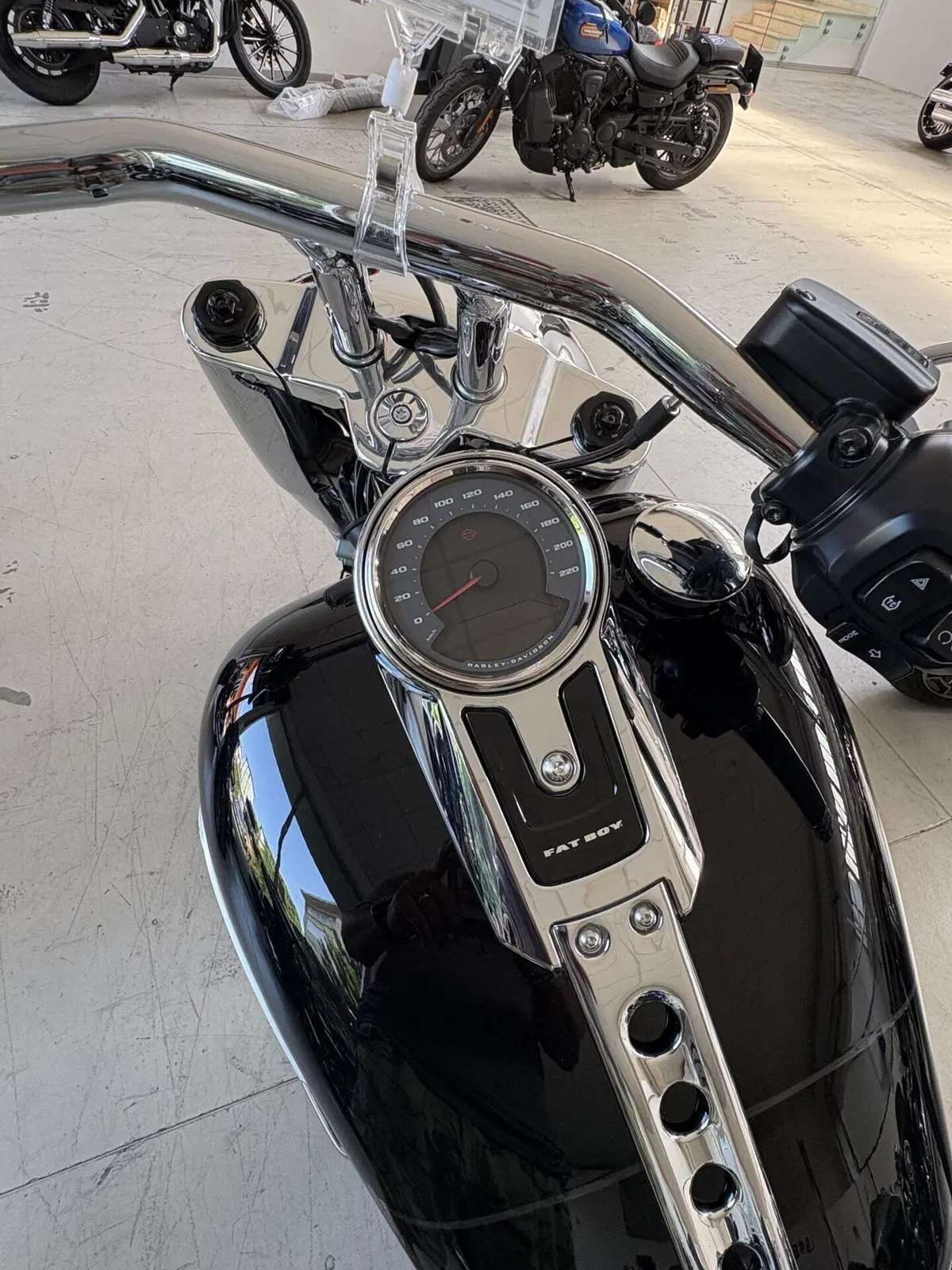 Harley-Davidson Fat Boy 117 (2025 - 26) (9)