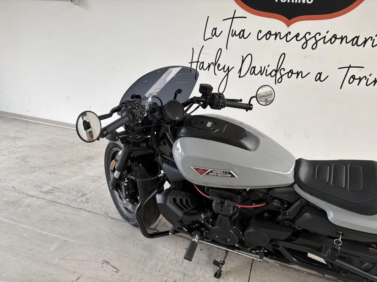 Harley-Davidson Sportster S (2025 - 26) (2)