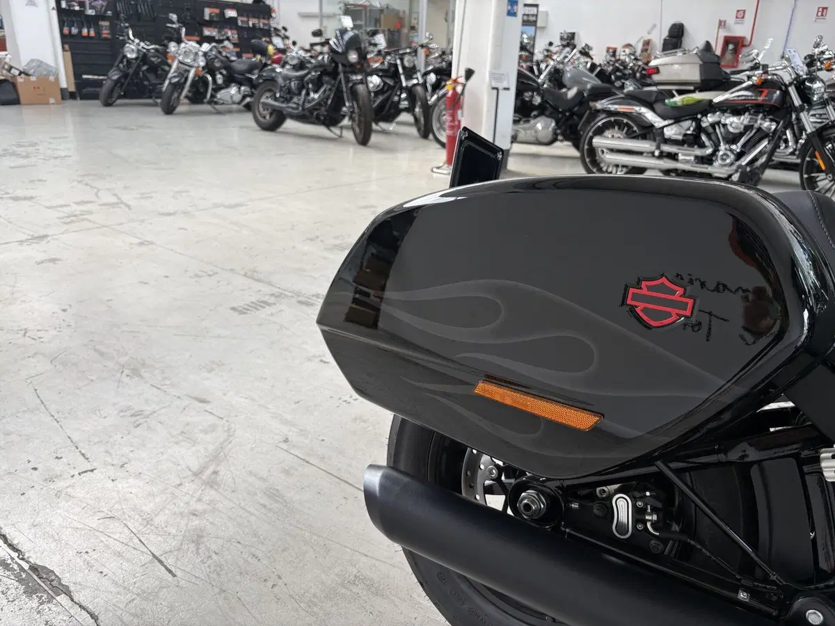 Harley-Davidson Low Rider ST (2025 - 26) (8)