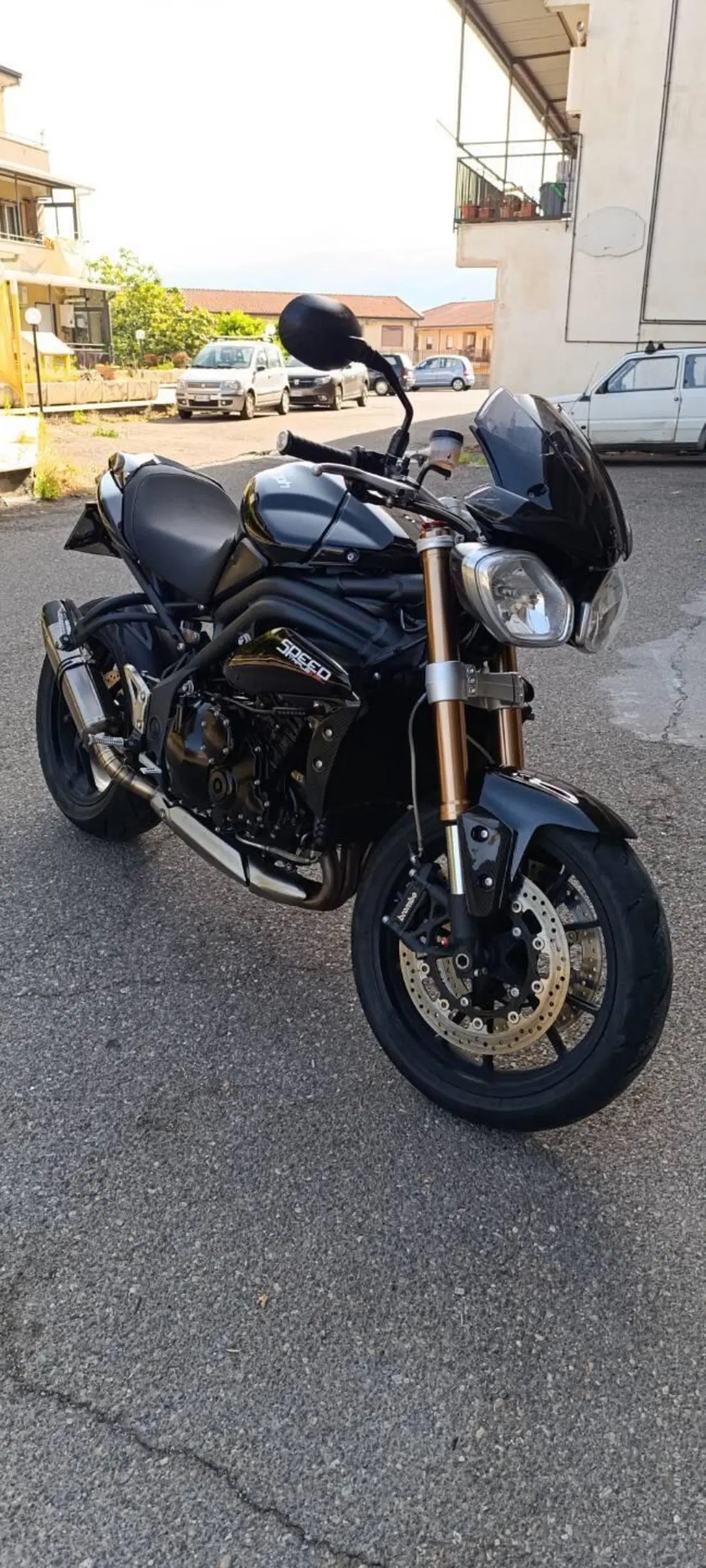 Triumph Speed Triple 1050 (2011 - 13) (2)