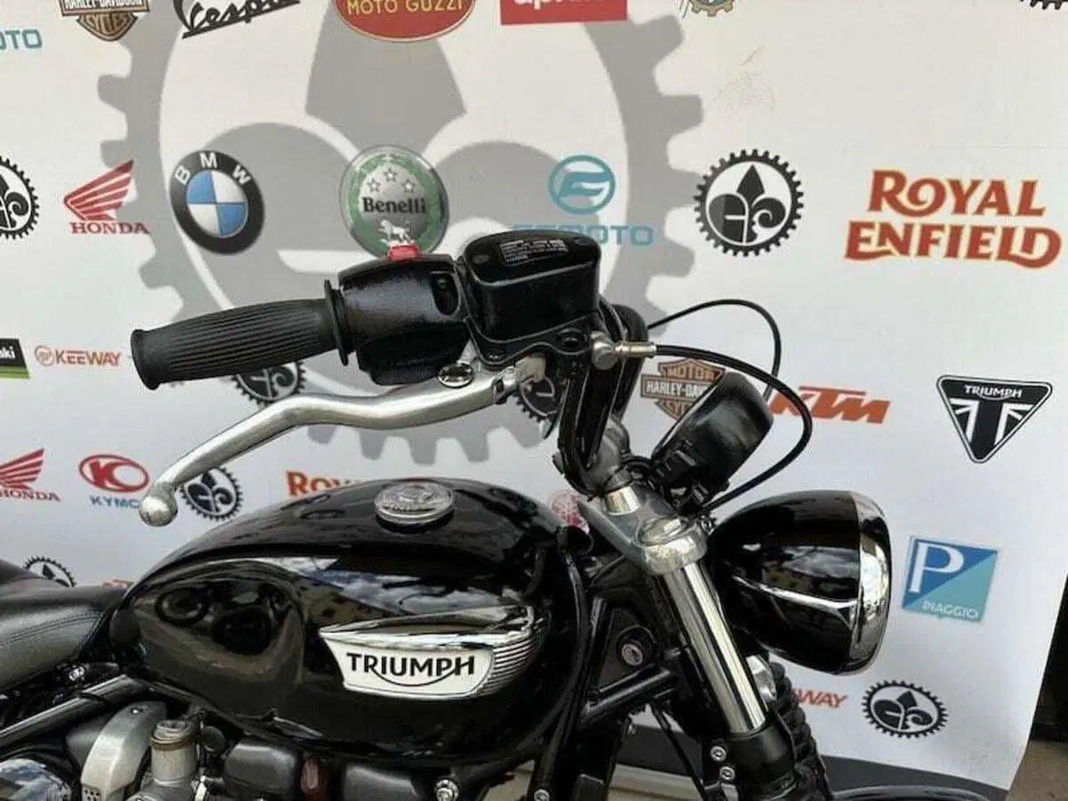 Triumph Bonneville Speedmaster 1200 (2018 - 20) (10)