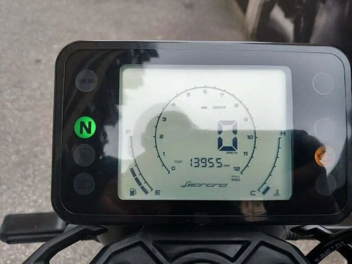 Benelli Leoncino 125 (2022 - 25) (11)