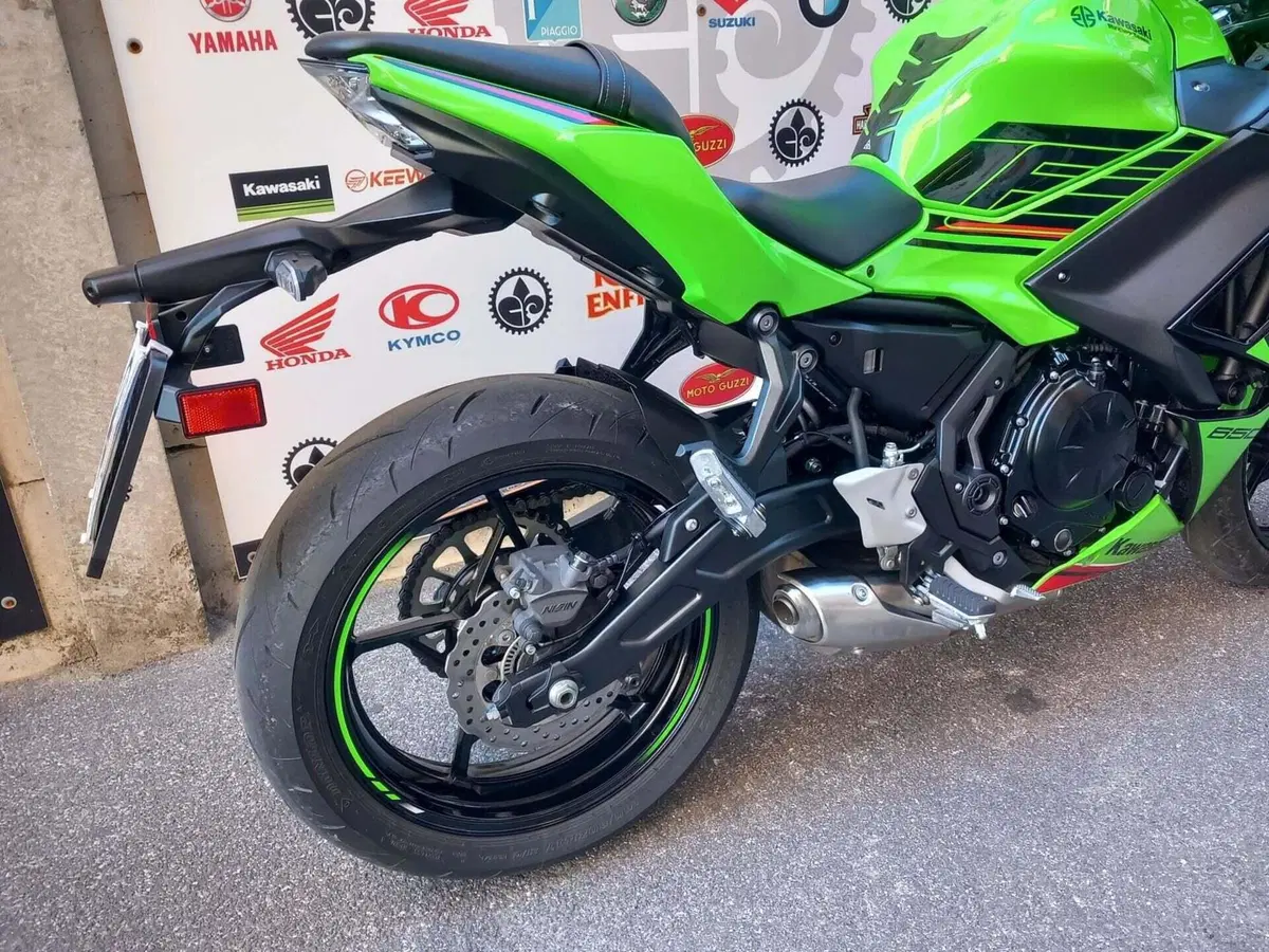 Kawasaki Ninja 650 (2021 - 24) (3)