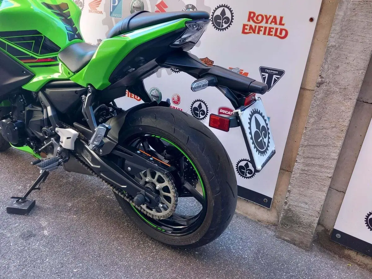 Kawasaki Ninja 650 (2021 - 24) (18)