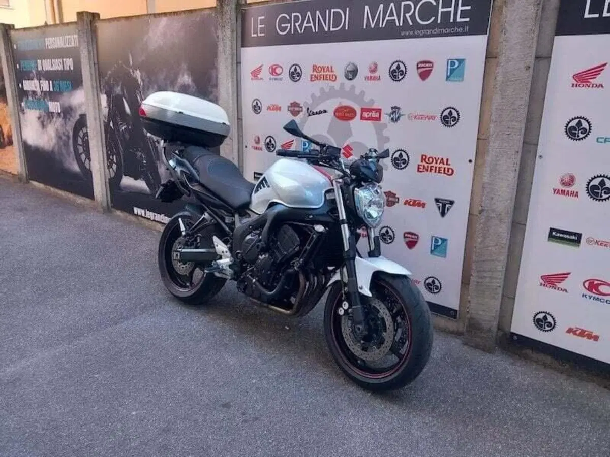 Yamaha FZ6 S2 (2007 - 11) (11)
