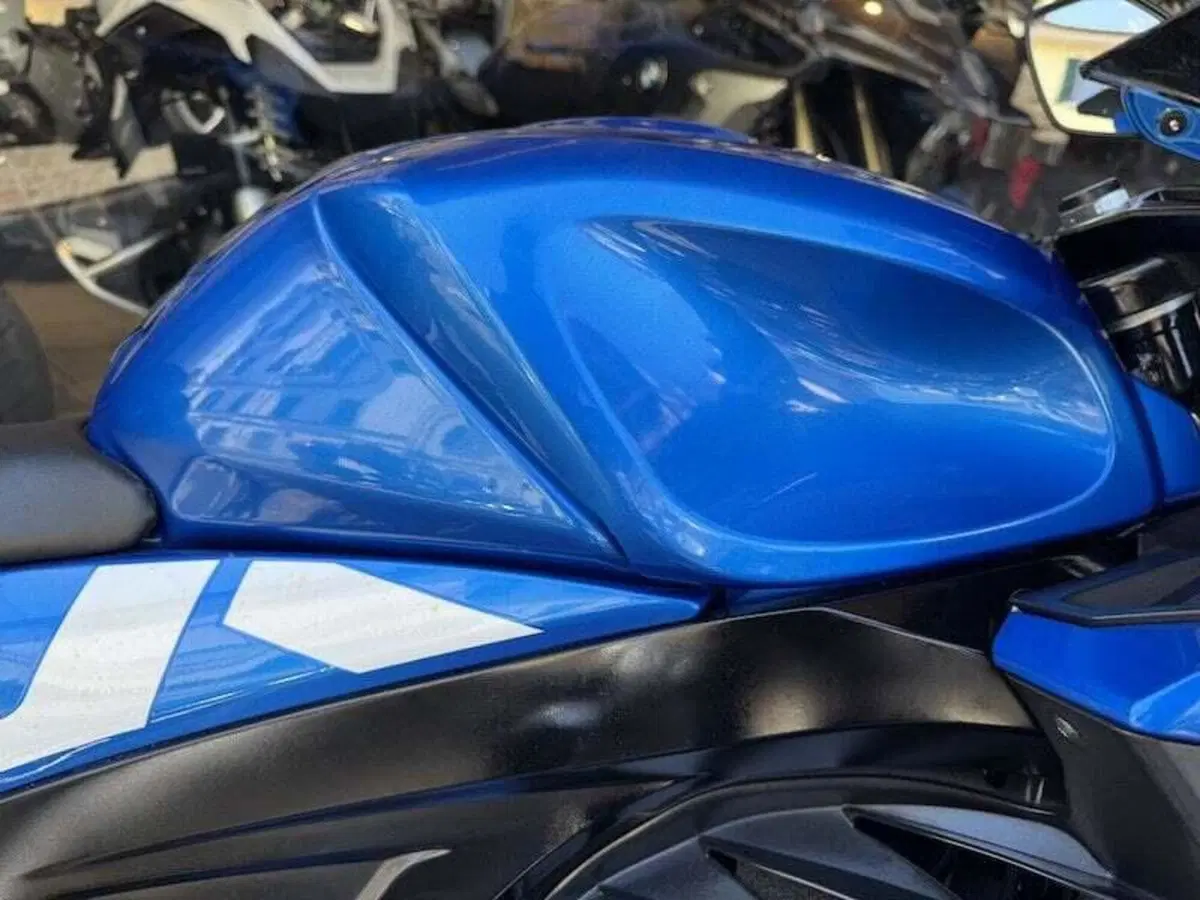 Suzuki GSX-R125 (2017 - 20) (8)