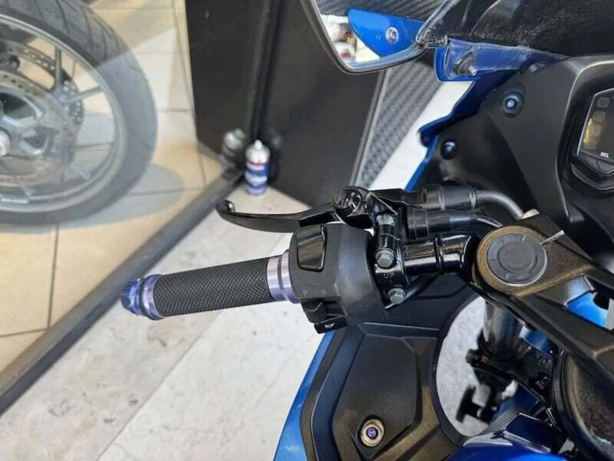 Suzuki GSX-R125 (2017 - 20) (18)