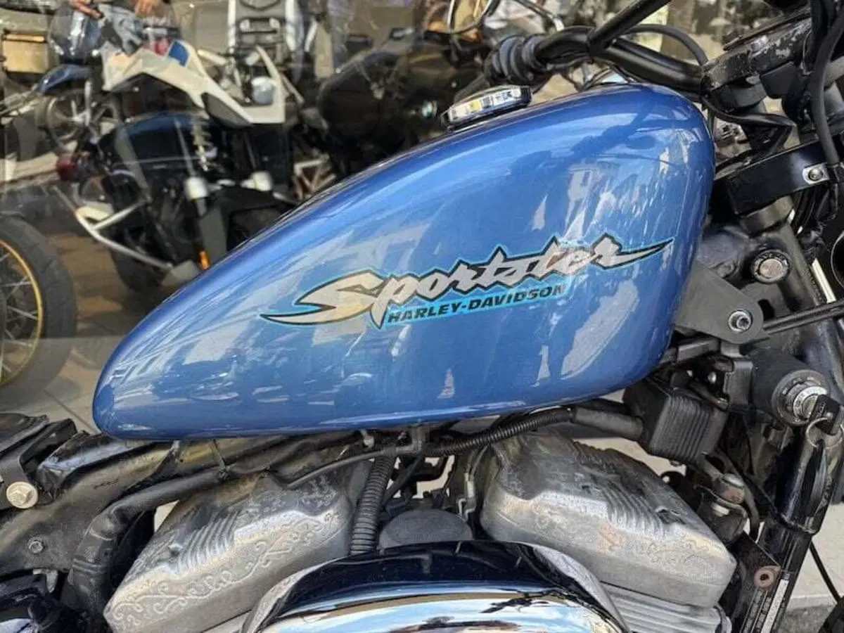 Harley-Davidson 883 (2006 - 07) - XL (8)