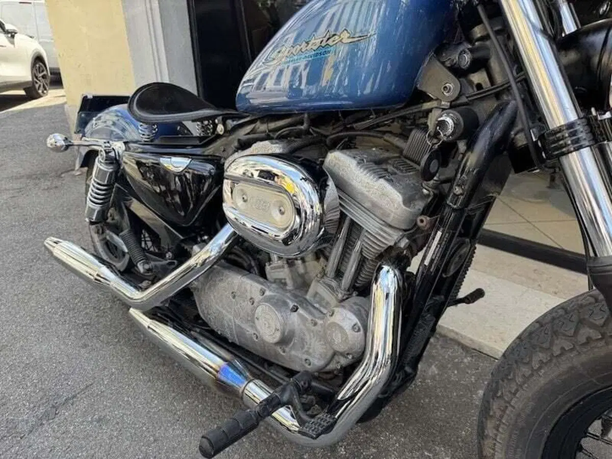 Harley-Davidson 883 (2006 - 07) - XL (9)