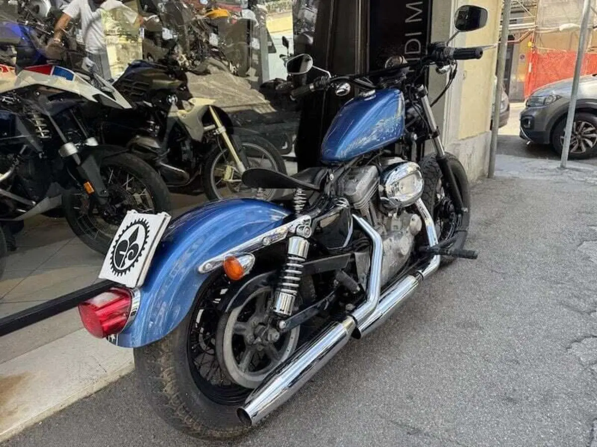 Harley-Davidson 883 (2006 - 07) - XL (14)