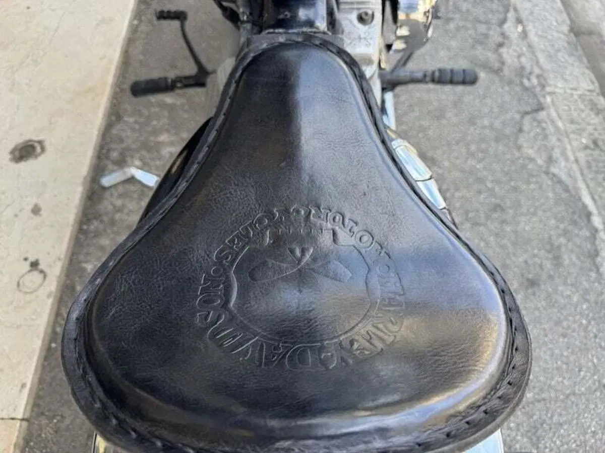 Harley-Davidson 883 (2006 - 07) - XL (16)