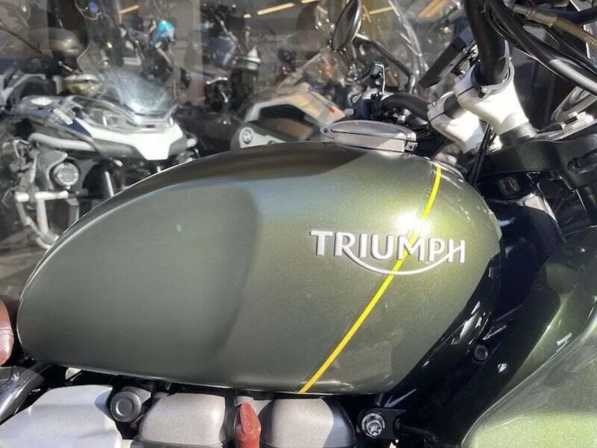 Triumph Scrambler 1200 XC (2019 - 20) (13)