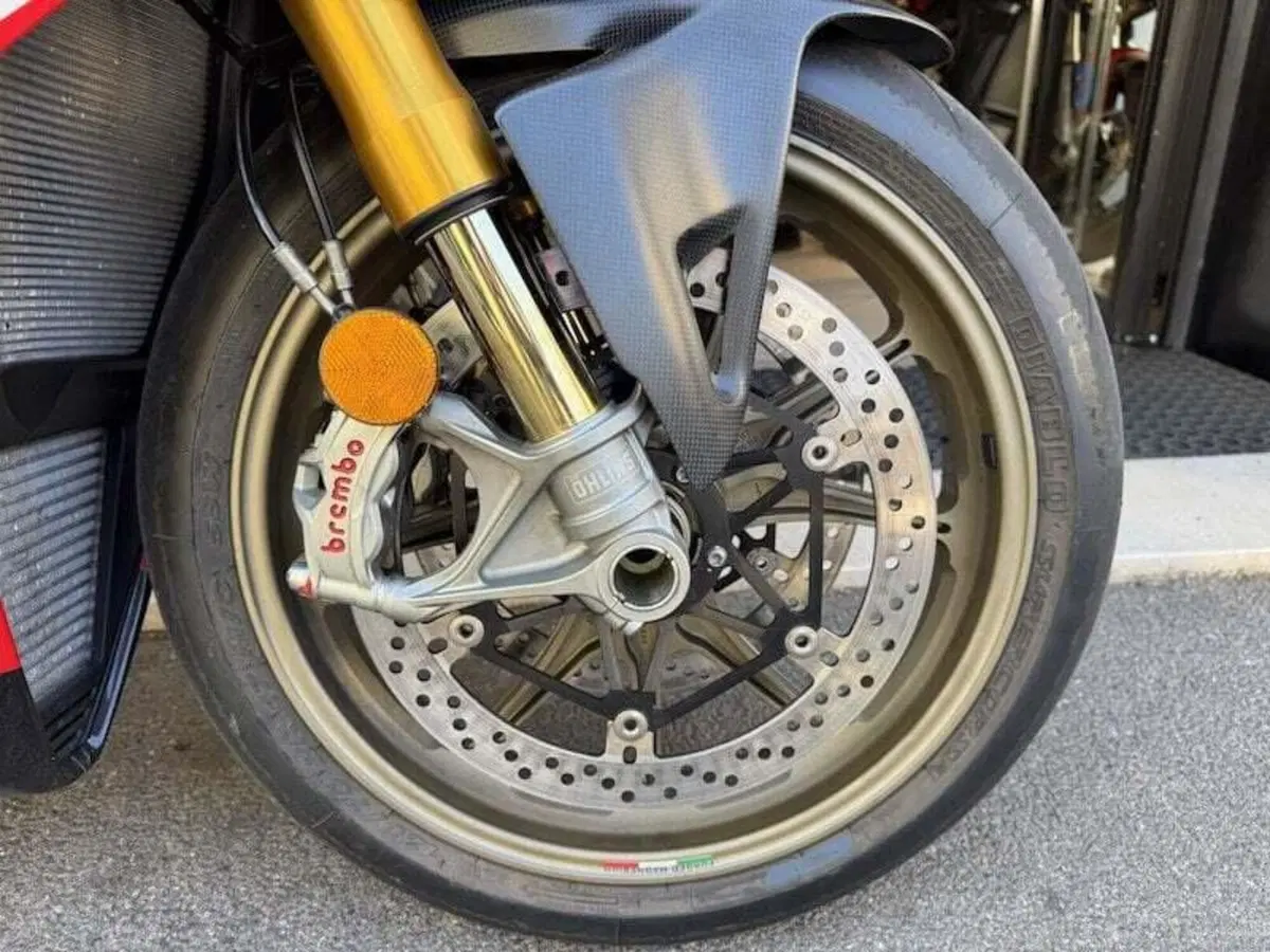 Ducati Panigale V4 1100 25° Anniversario (2019 - 20) (15)