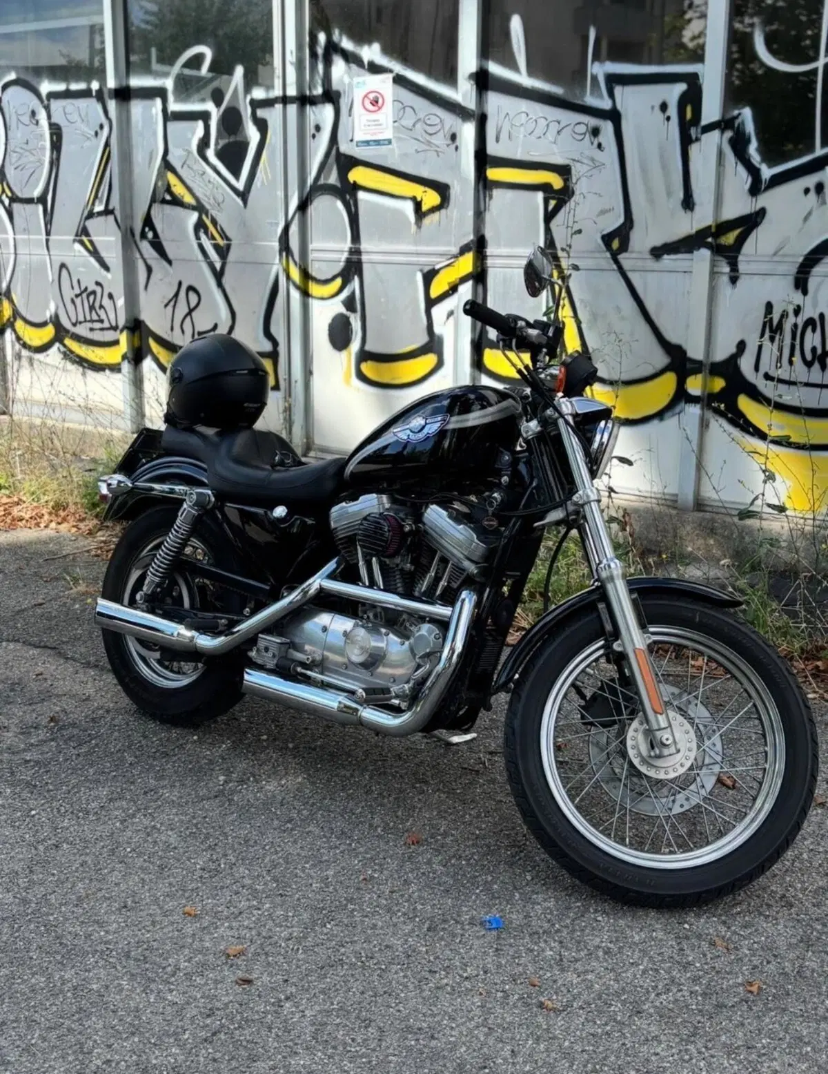 Harley-Davidson 883 Standard (2001 - 05) - XL 883