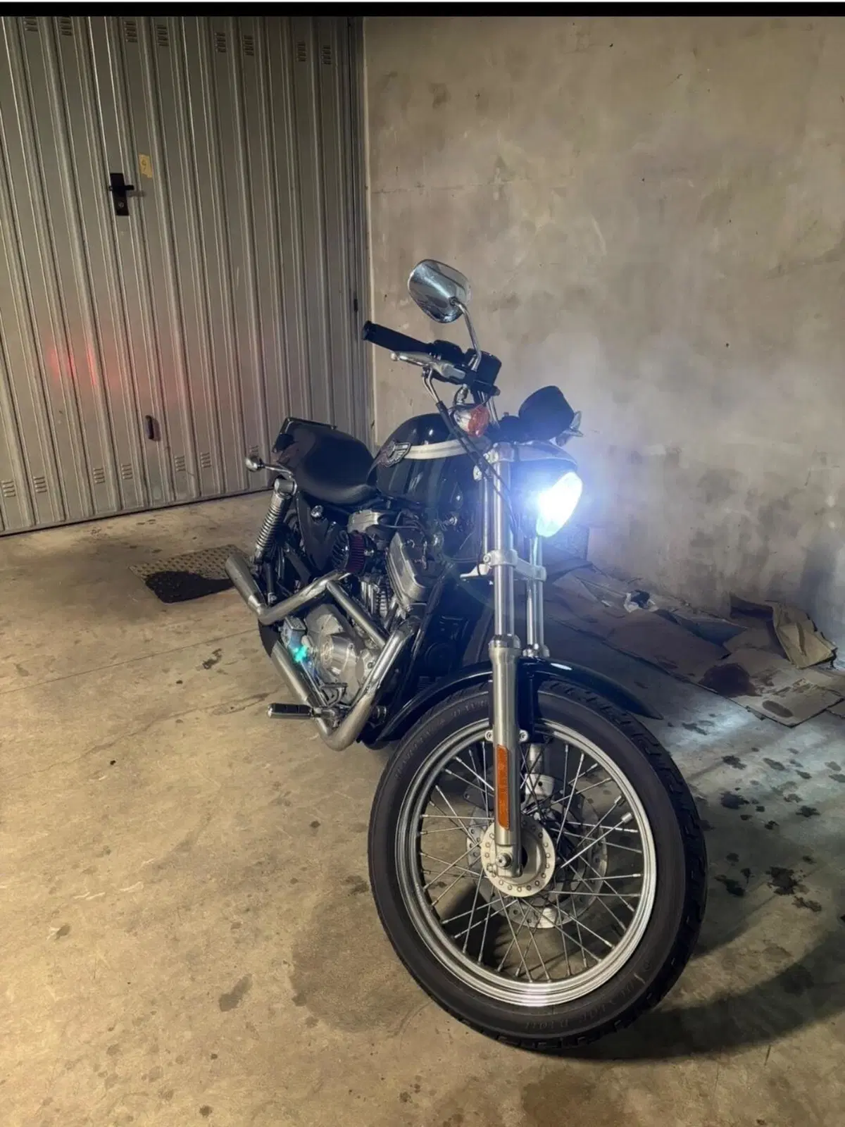 Harley-Davidson 883 Standard (2001 - 05) - XL 883 (2)