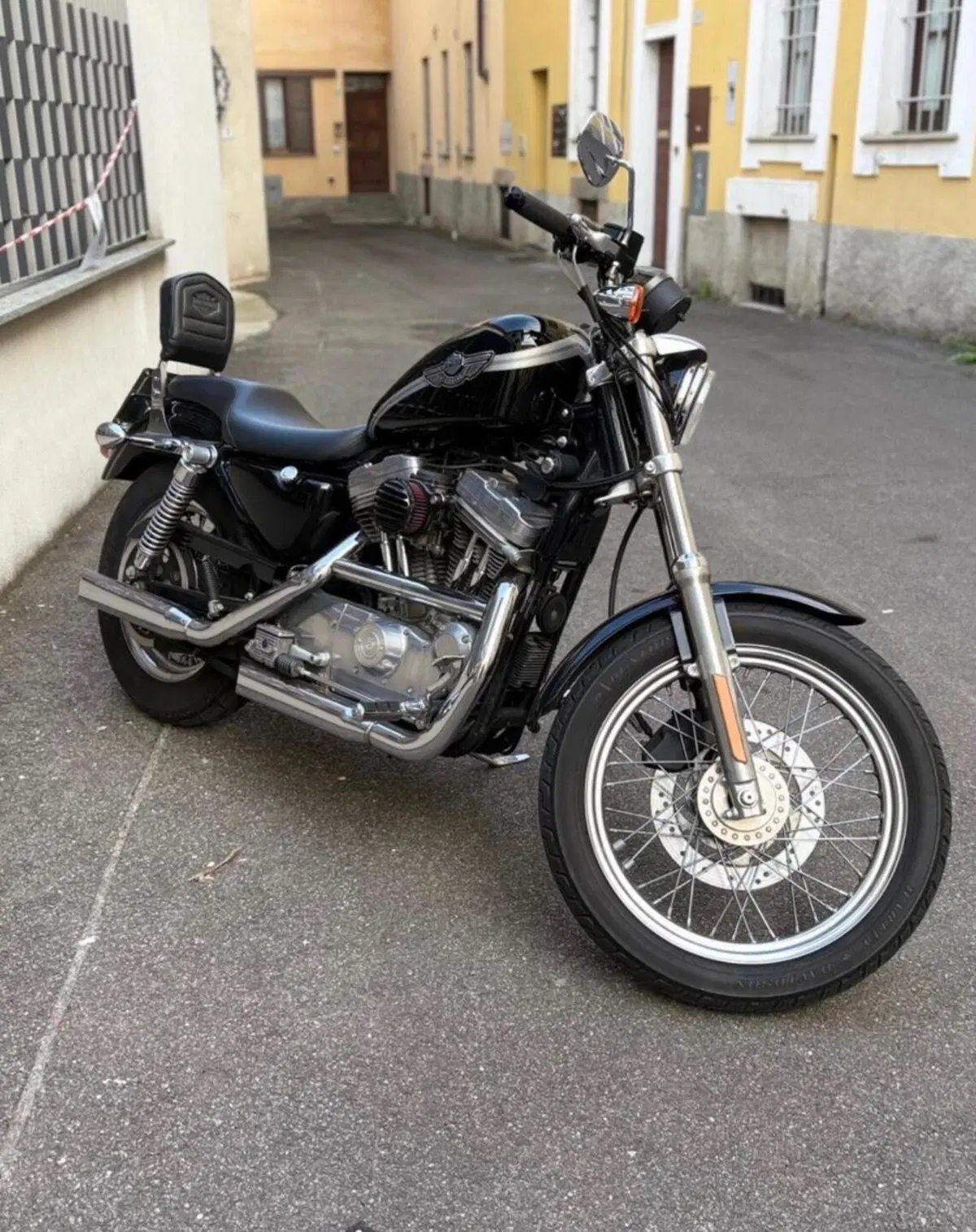 Harley-Davidson 883 Standard (2001 - 05) - XL 883 (3)