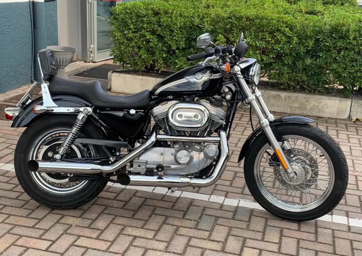 Harley-Davidson 883 Standard (2001 - 05) - XL 883 (4)