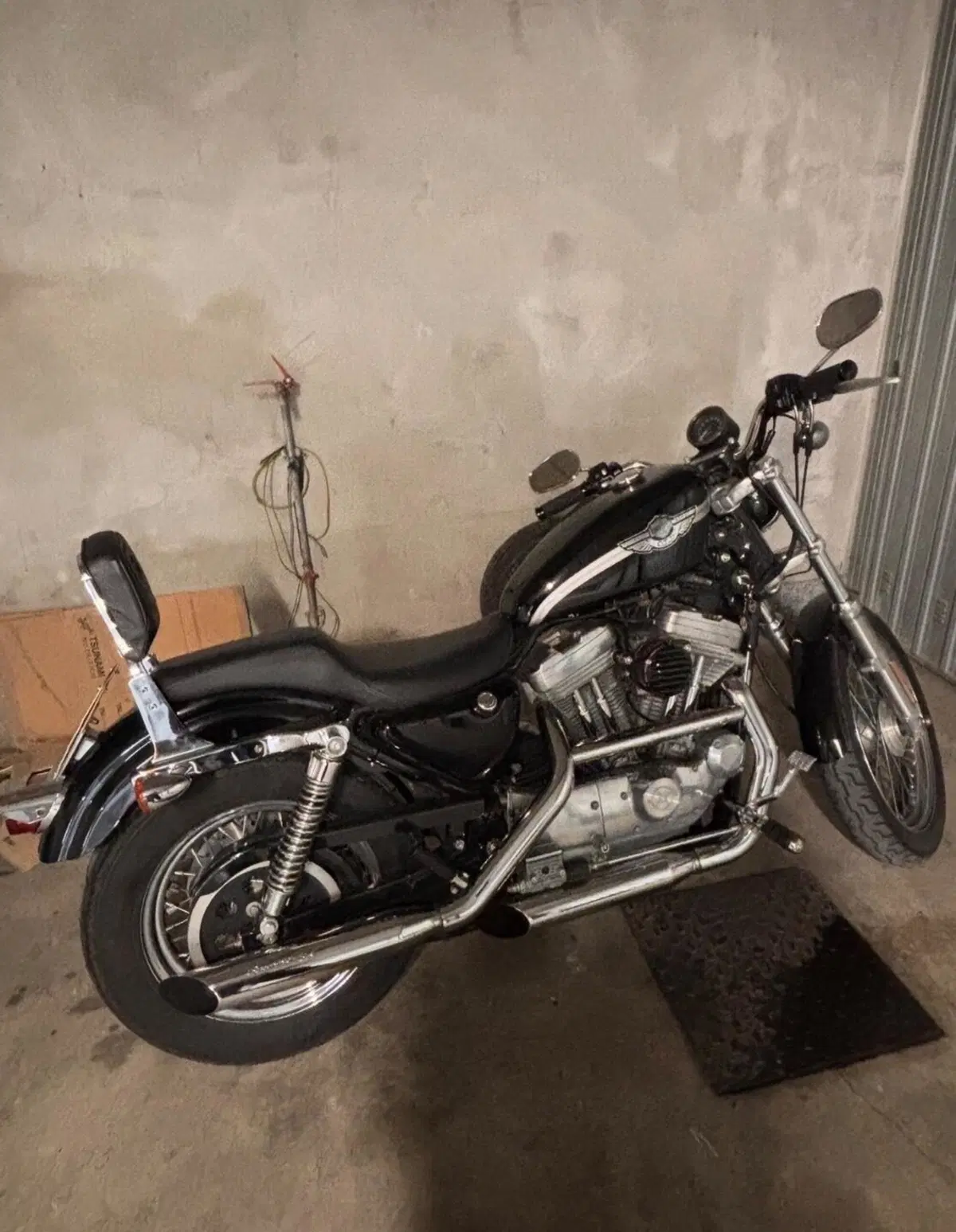 Harley-Davidson 883 Standard (2001 - 05) - XL 883 (5)