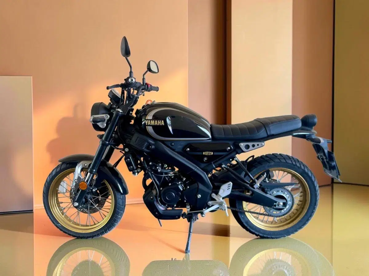 Yamaha XSR 125 (2021 - 24) (2)
