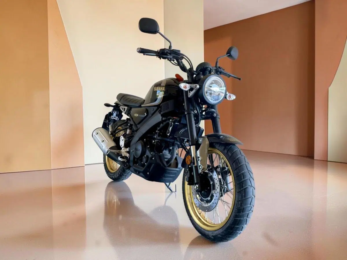 Yamaha XSR 125 (2021 - 24) (5)