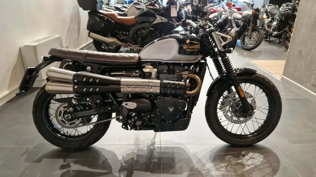 Triumph Scrambler 900 Icon Edition (2025 - 26) (5)
