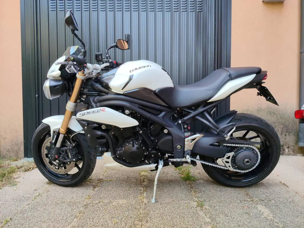 Triumph Speed Triple 1050 ABS (2011 - 15)
