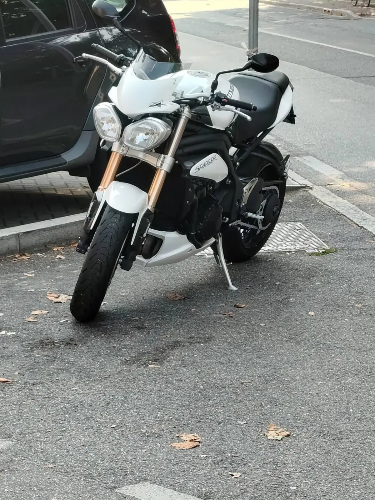 Triumph Speed Triple 1050 ABS (2011 - 15) (2)