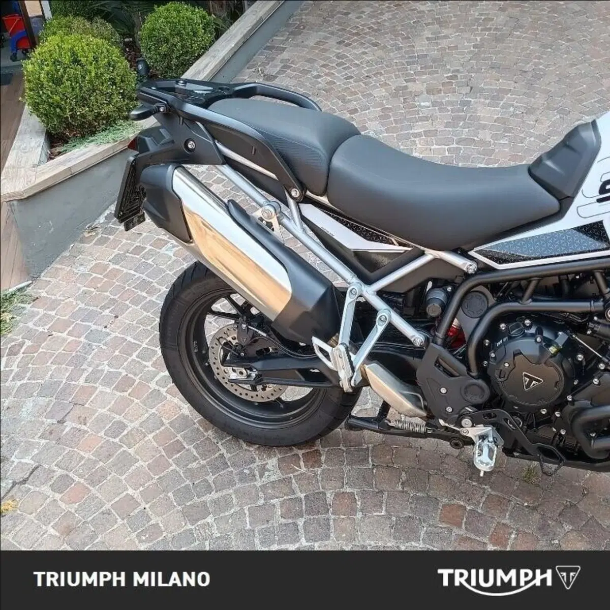 Triumph Tiger 900 GT Pro (2024 - 26) (2)