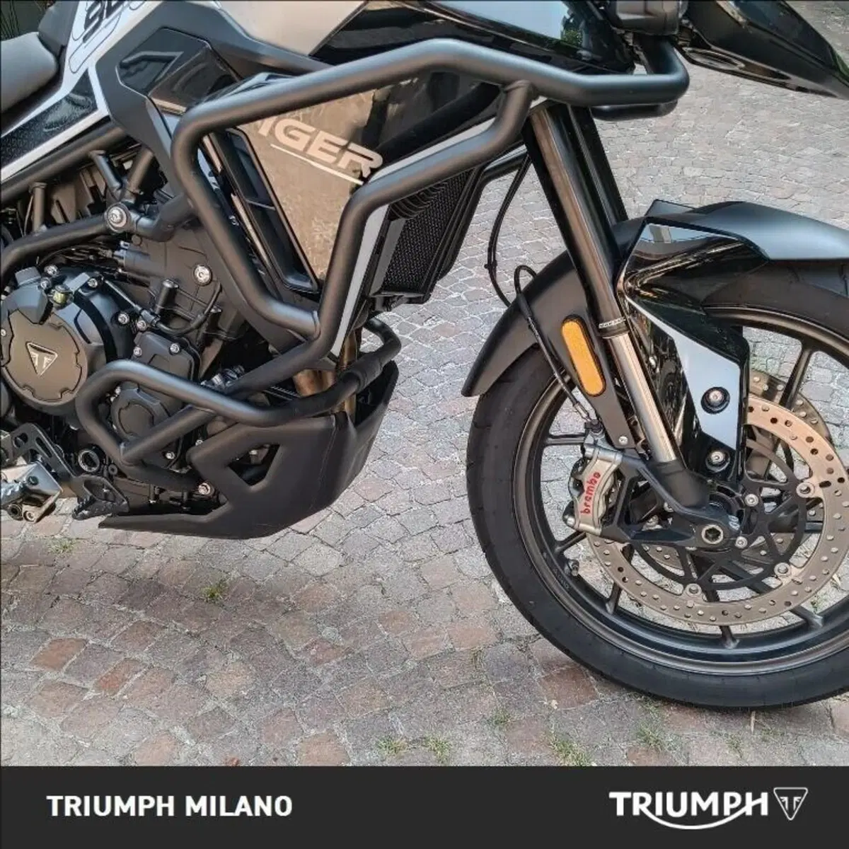 Triumph Tiger 900 GT Pro (2024 - 26) (5)