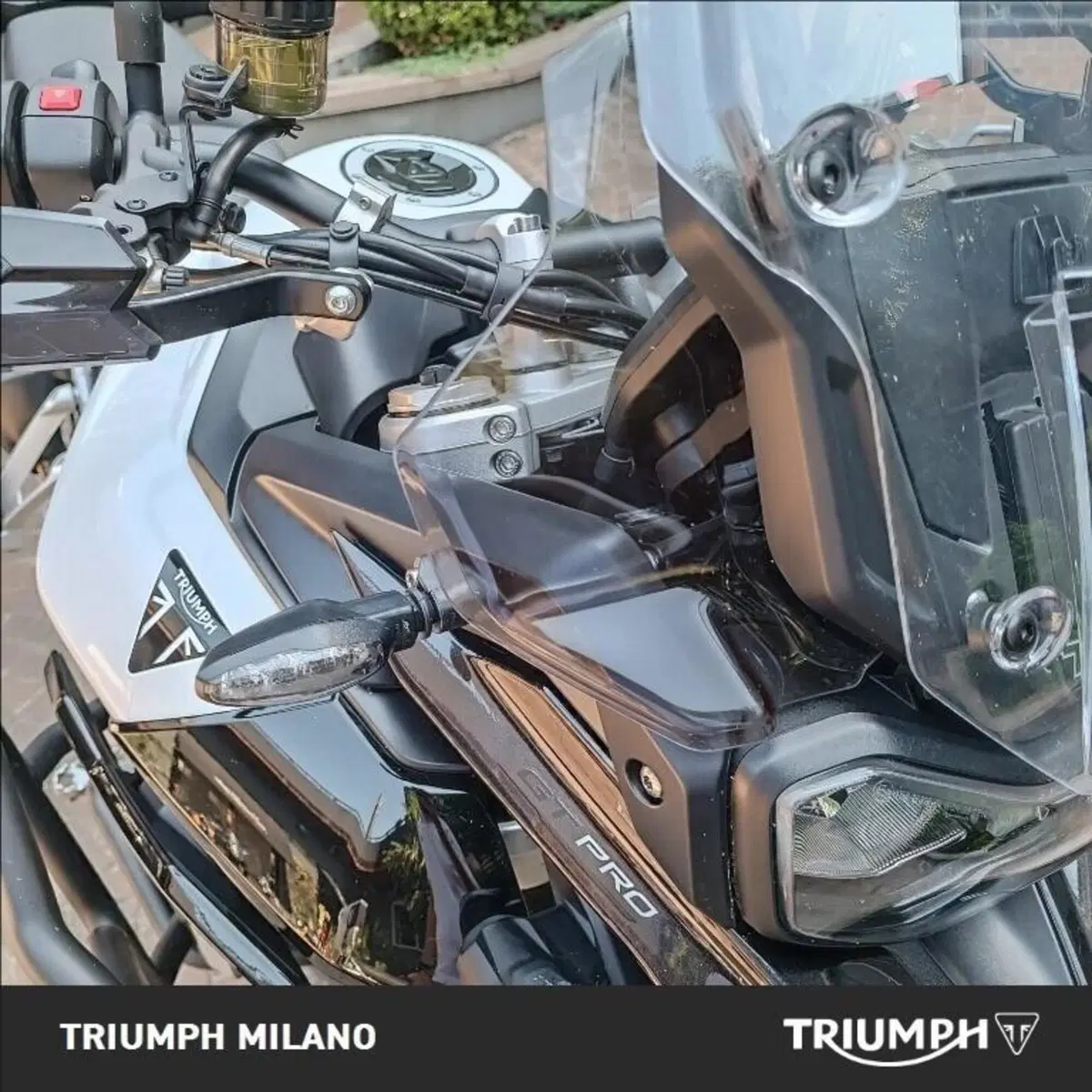 Triumph Tiger 900 GT Pro (2024 - 26) (6)