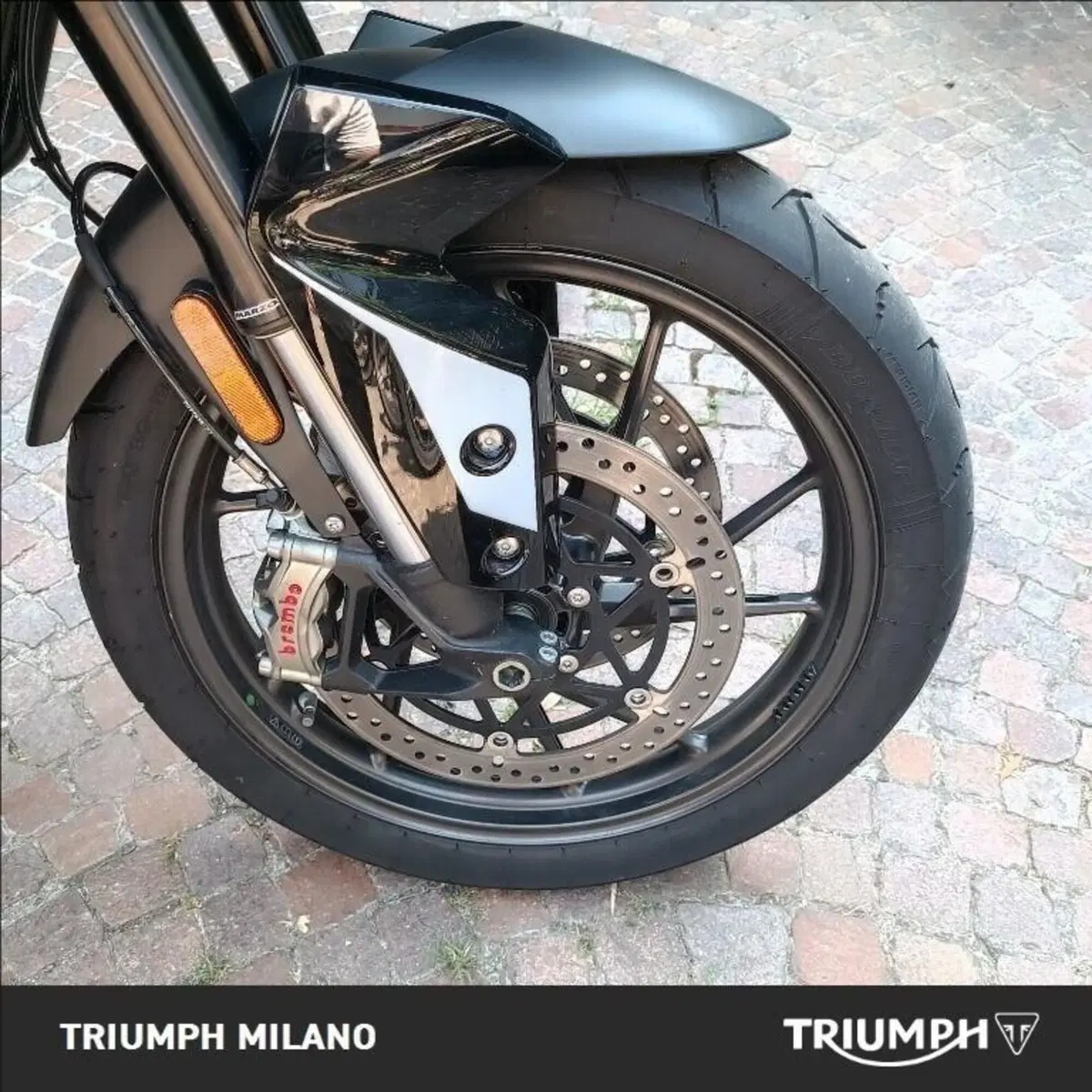 Triumph Tiger 900 GT Pro (2024 - 26) (8)