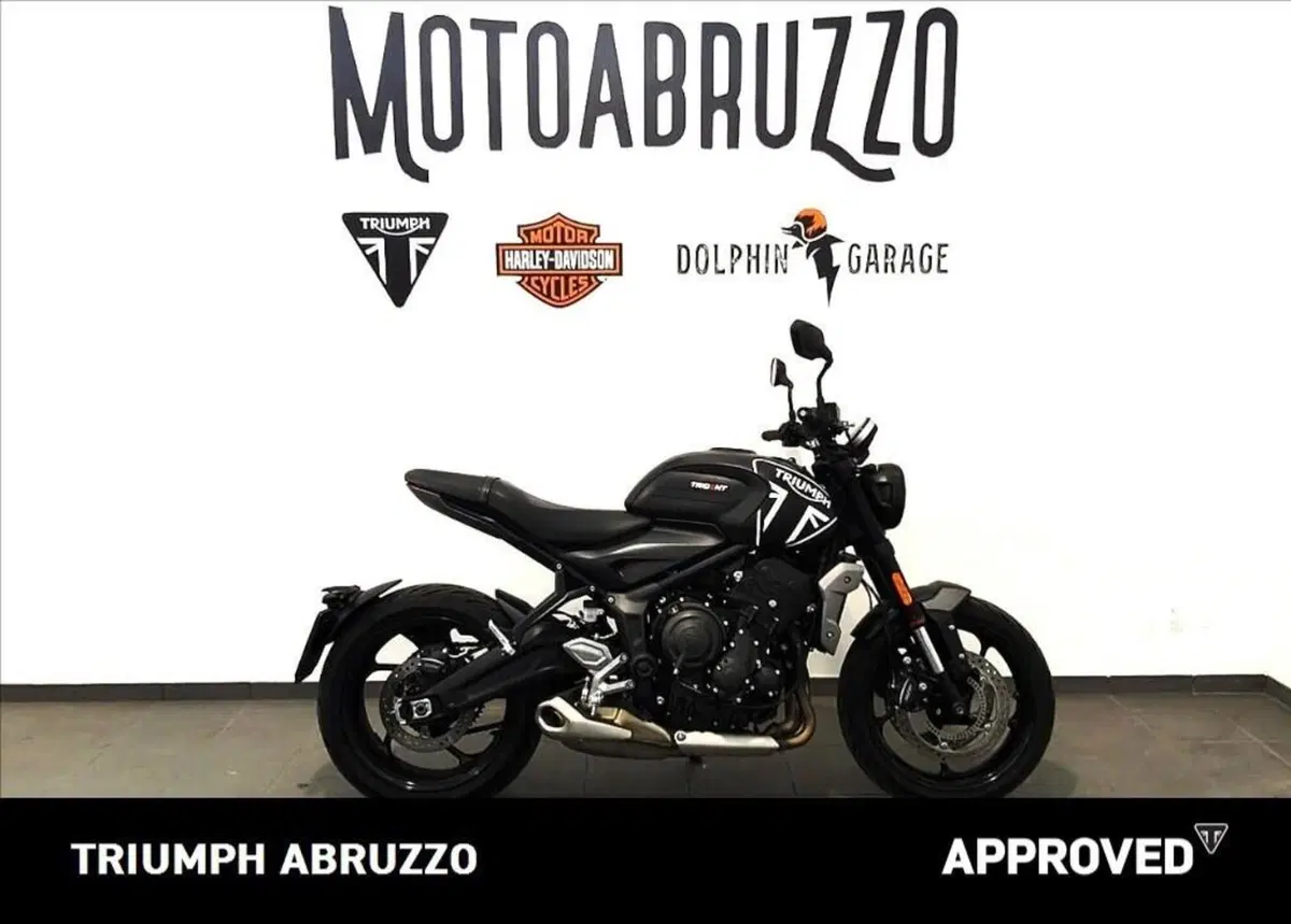 Triumph Trident 660 (2021 - 24) (11)