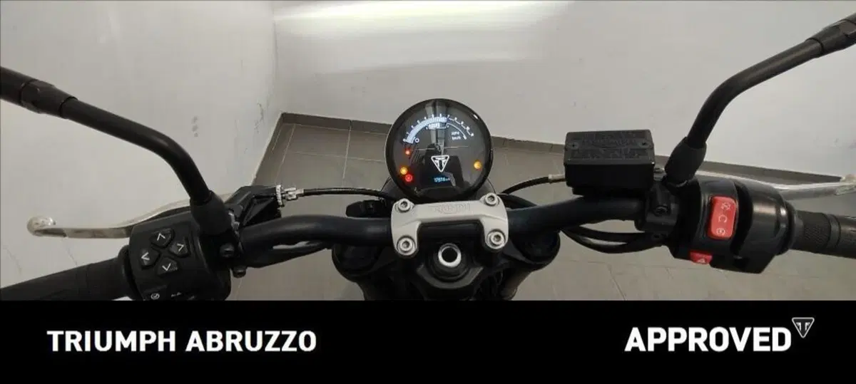 Triumph Trident 660 (2021 - 24) (7)